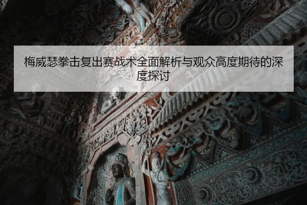 梅威瑟拳击复出赛战术全面解析与观众高度期待的深度探讨